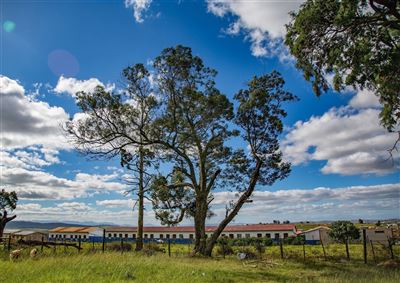 Nelson Mandela Museum in Qunu